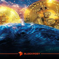 خوش بینی نهنگ ها به آینده بیت کوین؛ گزارش جدید کوین بیس چه می گوید؟