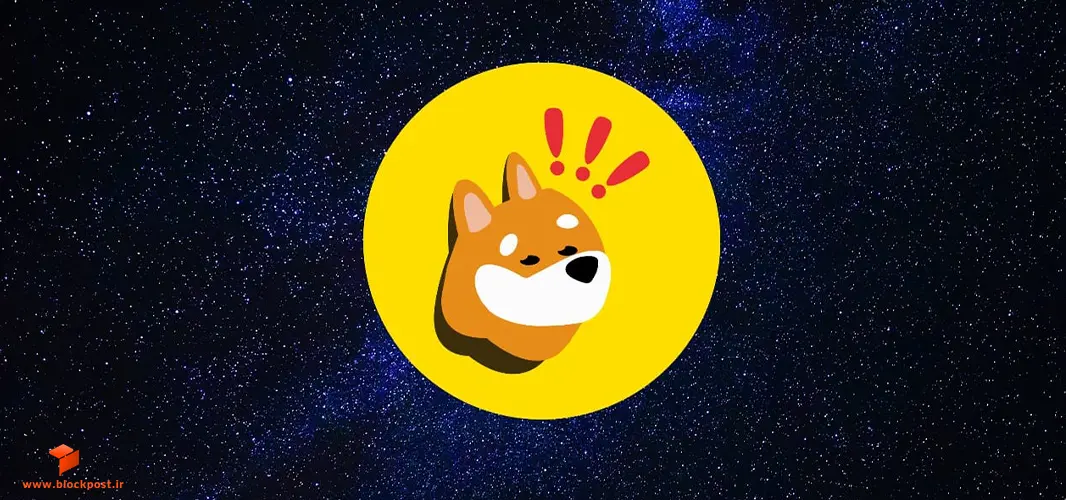 ماهیت ارز BONK چیست