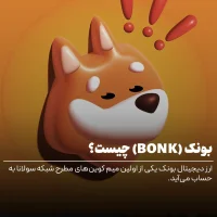 ارز دیجیتال بونک چیست