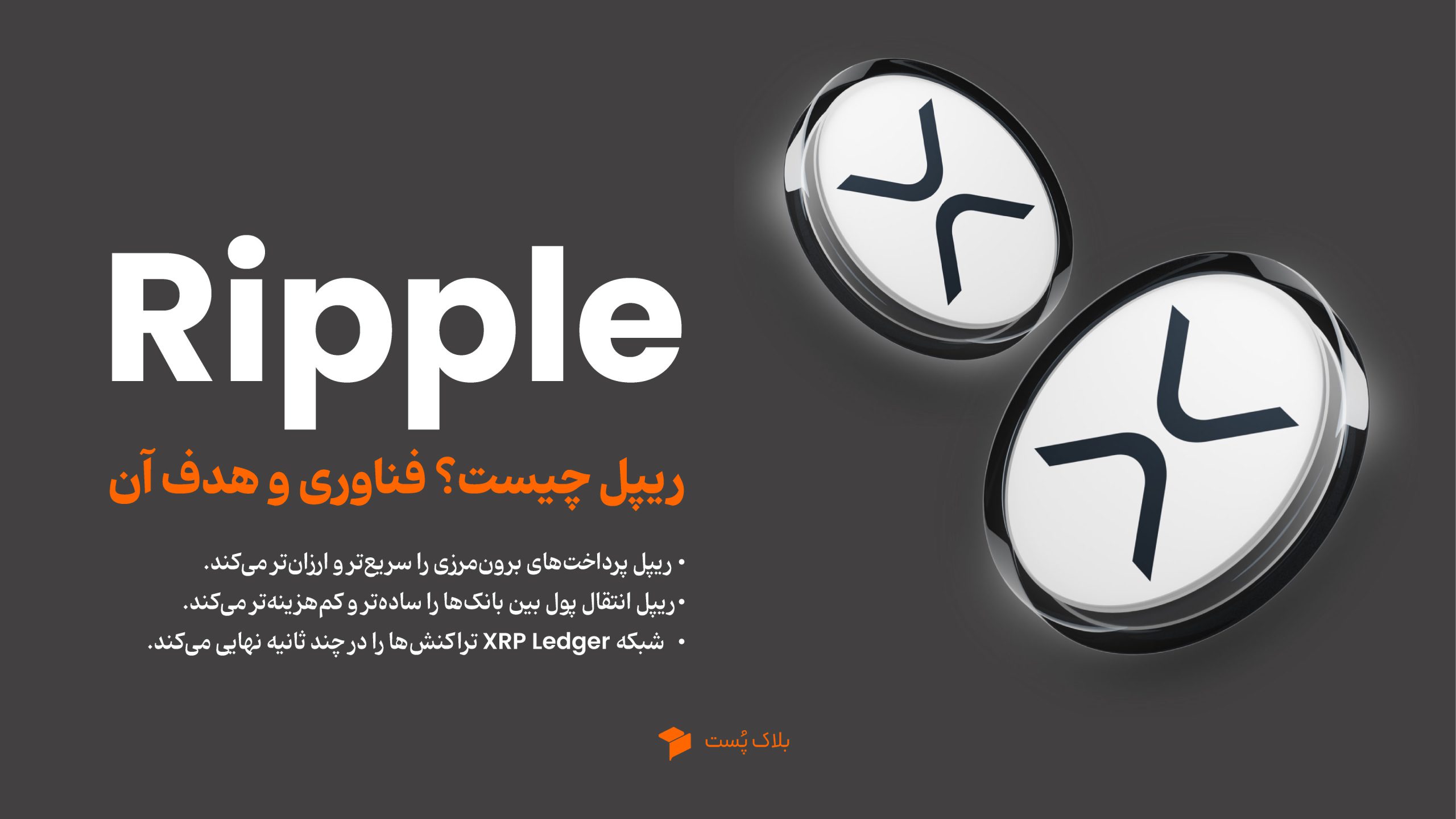 ریپل چیست