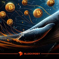 نهنگ ها در حال خرید بیت کوین در اصلاح قیمت در میانه ترس بازار
