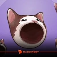 فاجعه ۳۰ میلیون دلاری هایپرلیکوئید؛ داستان سقوط میم کوین پاپ کت (POPCAT)