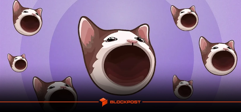 فاجعه ۳۰ میلیون دلاری هایپرلیکوئید؛ داستان سقوط میم کوین پاپ کت (POPCAT)