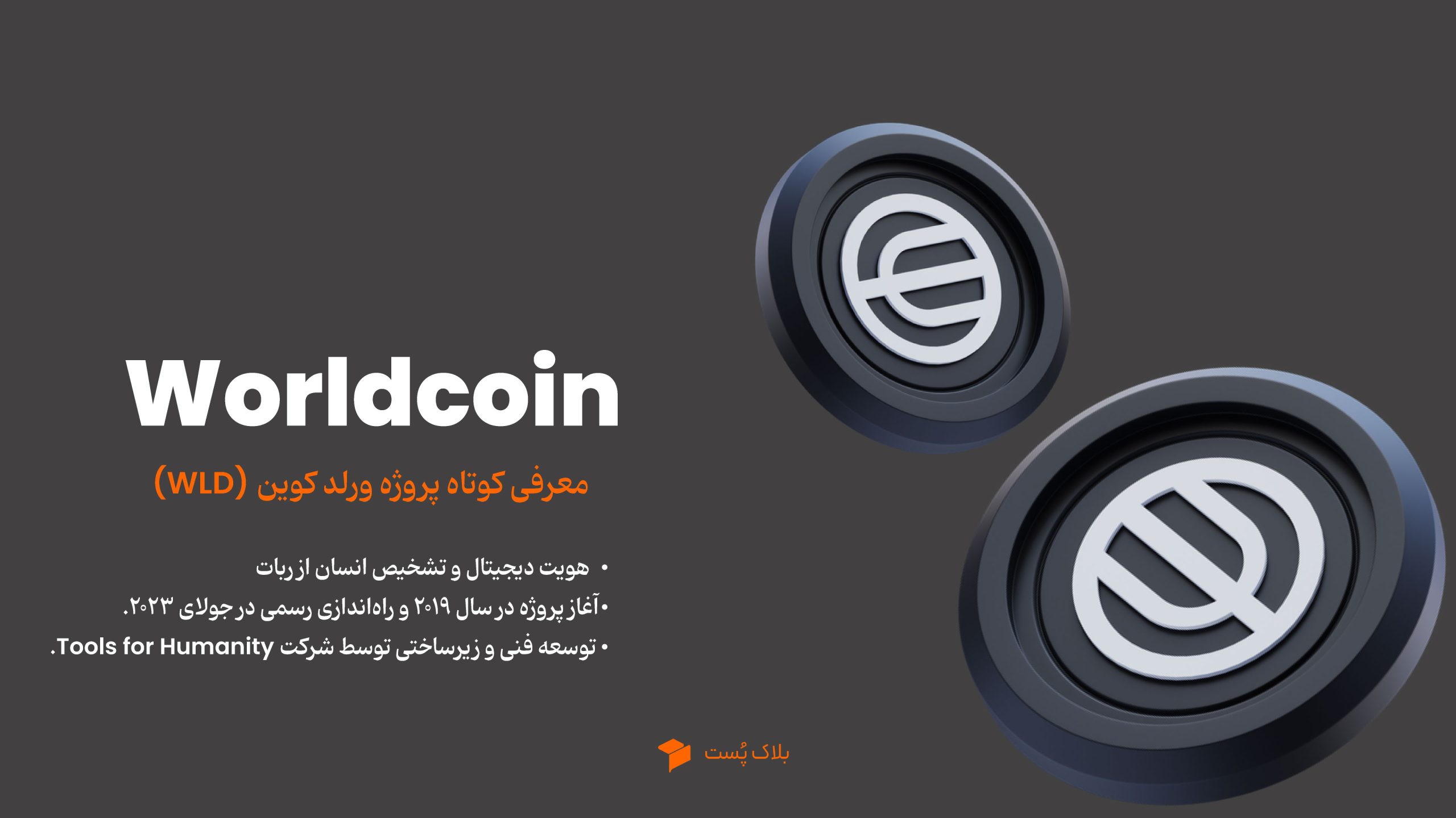 ورلد کوین