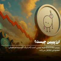 ارز پیپین چیست