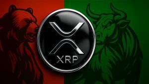 تحلیل نوسانات XRP: ۵ صعود بزرگ در ۱۲ سال
